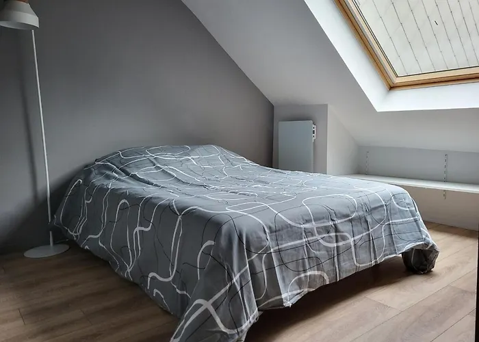 Apartament Duplex Pour 4 Pers, Hypercentre De *